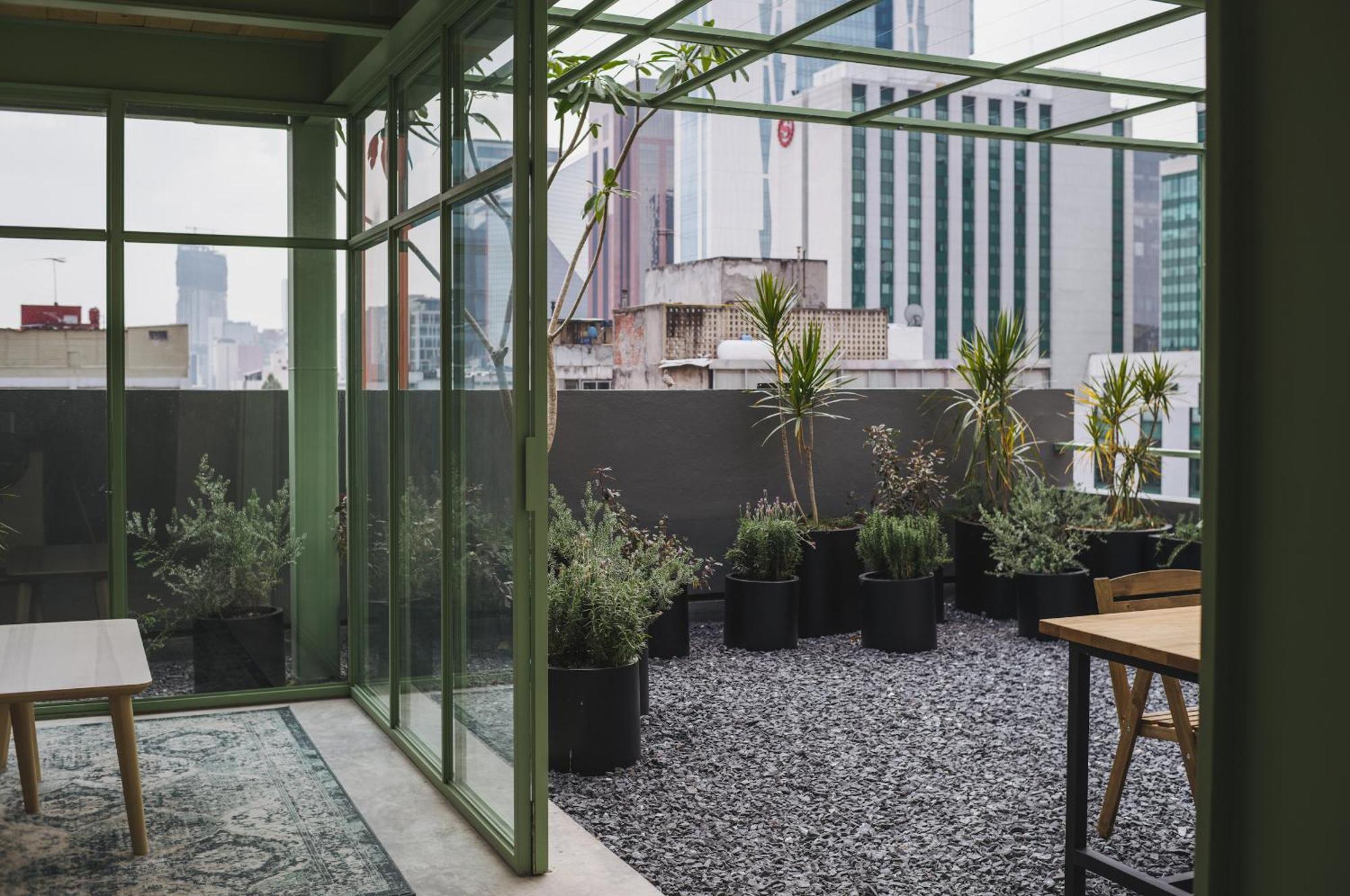 Xolo Stays Mexico City Phòng bức ảnh