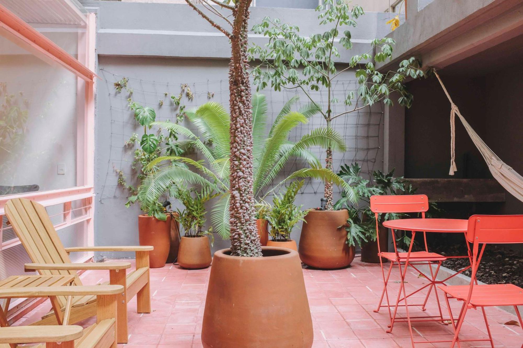 Xolo Stays Mexico City Phòng bức ảnh